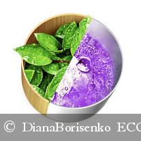   OrganicZone    -   DianaBorisenko