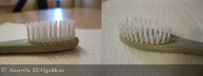     (  ) Environmental toothbrush -   AnnyOs