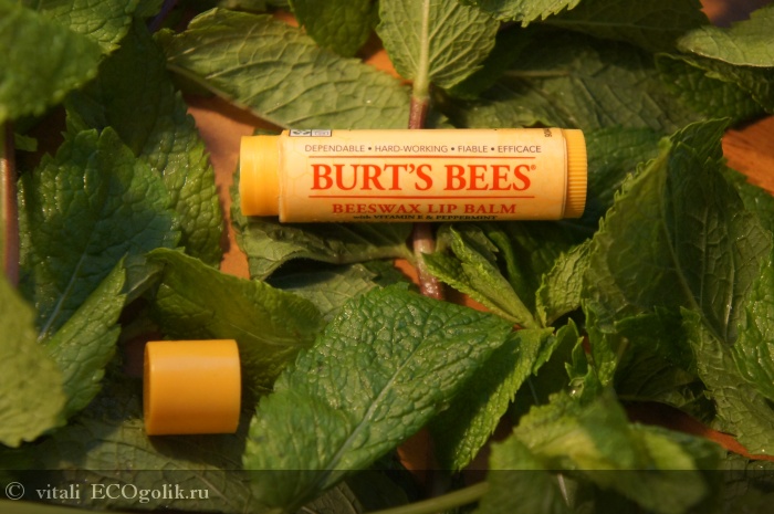    Beeswax Lip Balm Burt's Bees -   vitali
