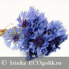      ChocoLatte -   Irinka
