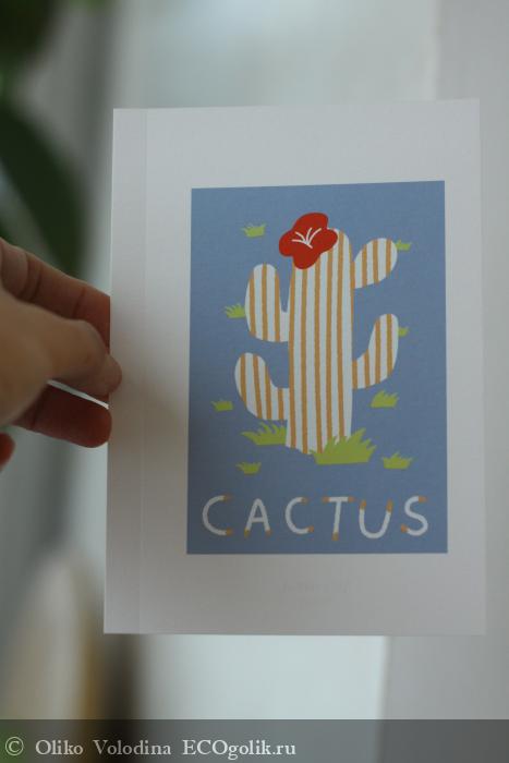   Cactus Kit: , ,     CACTUS.     :            -     ? -   Oliko Volodina