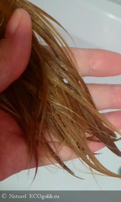 Бальзам для кожи головы и волос «Крапива» от Kleona - отзыв Экоблогера Naturel