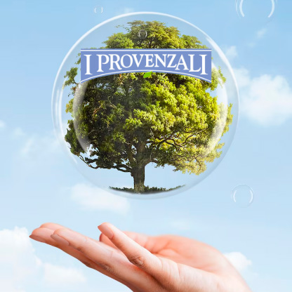 I Provenzali - герой