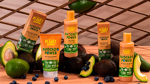 Avocado power | WE ARE THE PLANET
