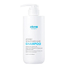 Шампунь Scalp Care Atomy