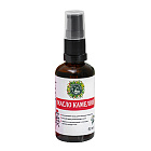 Масло камелии, Дары Природы