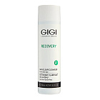 Очищающий гель для умывания Recovery GIGI