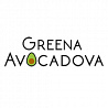Greena Avocadova