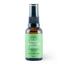 Спрей для рук с антибактериальным эффектом  Smorodina