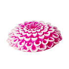 Мыло "Цветок 3D Георгин" ChocoLatte