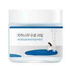 Увлажняющий крем для лица Birch juice moisturizing cream Round Lab
