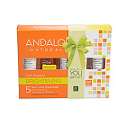 Набор "Хиты коллекции Сияние", 5 мини продуктов Andalou Naturals