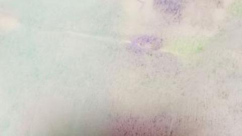 Отзыв: Мини-отзыв