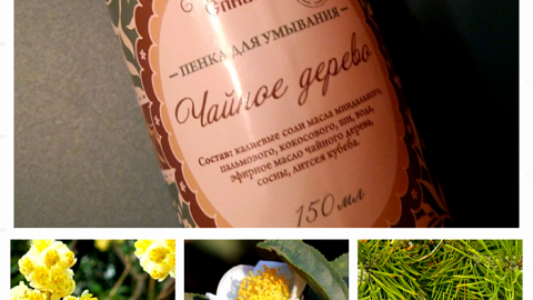 Отзыв: Пенка для умывания 