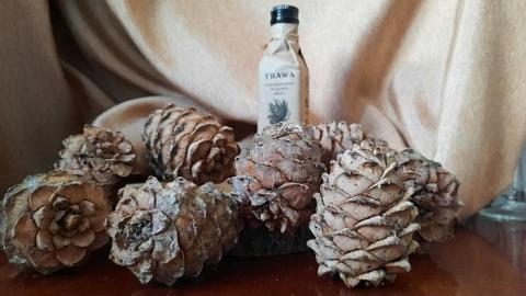 Отзыв: Любое блюдо с ним превращается в шедевр с изысканным вкусом. Кедровое сыродавленое масло Trawa