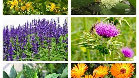 Отзыв: Крем-сыворотка для лица 