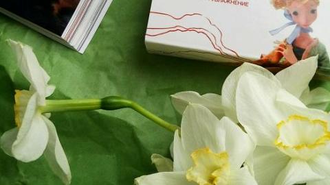 Отзыв: Нежное, красивое , ароматное! Угадайте, что это?