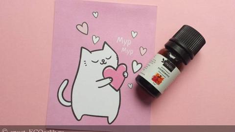 Отзыв: эфирное масло грейпфрут