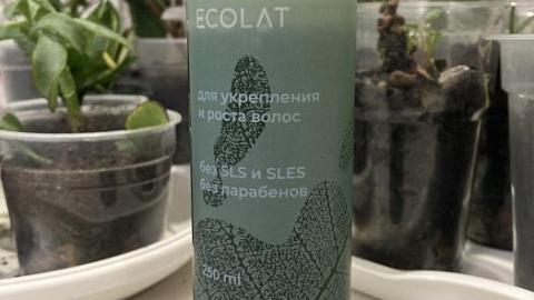 Отзыв: Шампунь Ecolat для укрепления и роста волос просто великолепный.