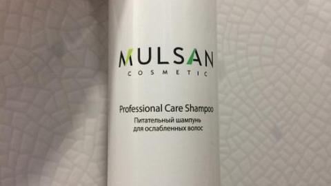 :      PROFESSIONAL CARE SHAMPOO Mulsan Cosmetic