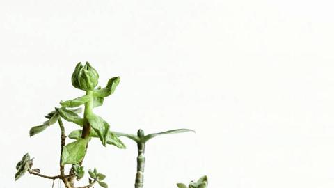 Отзыв: Где правда?! И есть ли она...