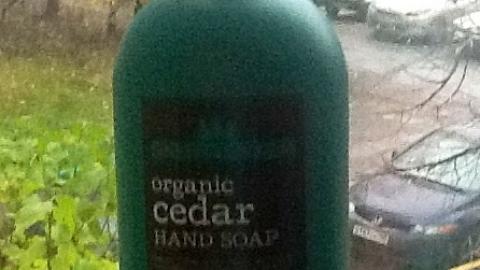 Отзыв: Жидкое мыло 