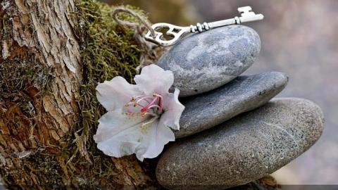 Отзыв: Результаты Welcome-игры от бренда Dr. Hauschka