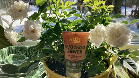 Отзыв: Крем для лица ежедневный уход Avocado Power от We Are The Planet.