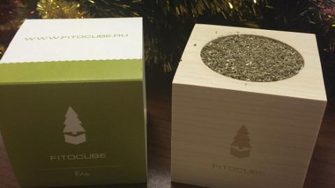 Отзыв: Фитокуб «Ель»