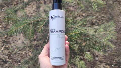 Отзыв: Шампунь PERFECT для проблемной кожи головы и волос, склонных к жирности от Chocolatte.