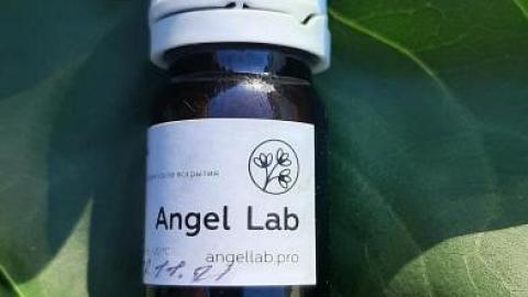 Отзыв: Мини-отзыв