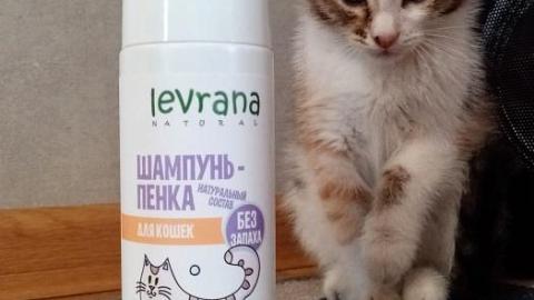 Отзыв от Юлия: Шампунь-пенка для кошек