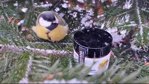 Отзыв: Натуральная аромасвеча 