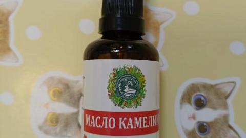 Отзыв: Мини-отзыв