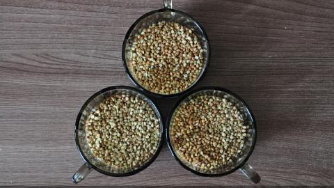 Отзыв: Образ жизни