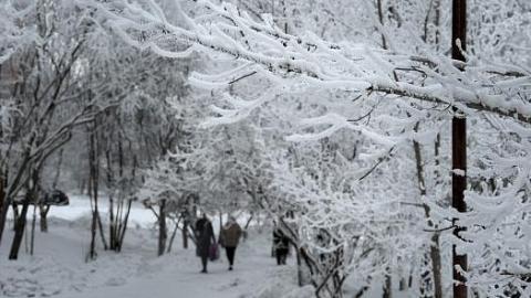 Отзыв: Наше сибирское спасение в трескучие морозы!