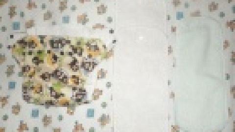 Отзыв: Многоразовые подгузники Blueberry