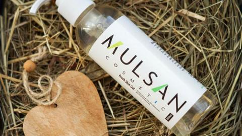 :     MULSAN cosmetic Fresh Skin Gel