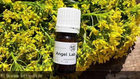 Отзыв: Мини-отзыв