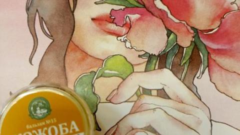 Отзыв: Мини-отзыв