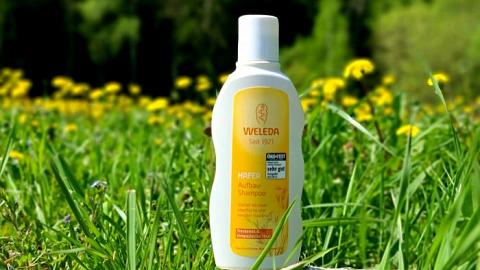 Отзыв: Очищение и уход в одном флаконе.