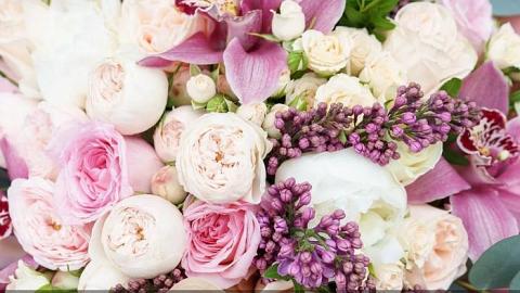 Отзыв: Итоги конкурса от МиКо!