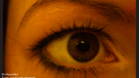 Отзыв: Тушь для ресниц (чёрная) Dr.Hauschka