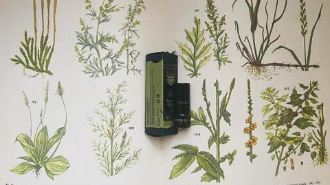 Отзыв: Расшифровывая «Руну»