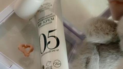 Отзыв: Увлажняющий BB-крем сияющий тон 5 Бронзовый загар SIBERINA