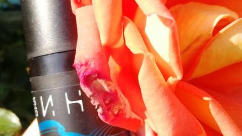 Отзыв: Королева сывороток 