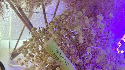 Отзыв: Бальзам для губ Лемонграсс от SHABBY PRO