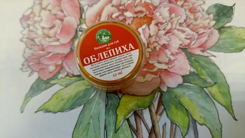 Отзыв: Мини-отзыв