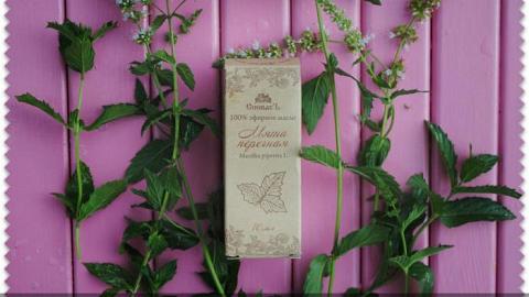 Отзыв: Эфирное масло мяты перечной СпивакЪ