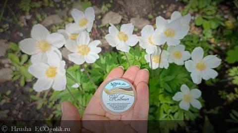 Отзыв: Воск-бальзам Живица в шайбочке от ChocoLatte